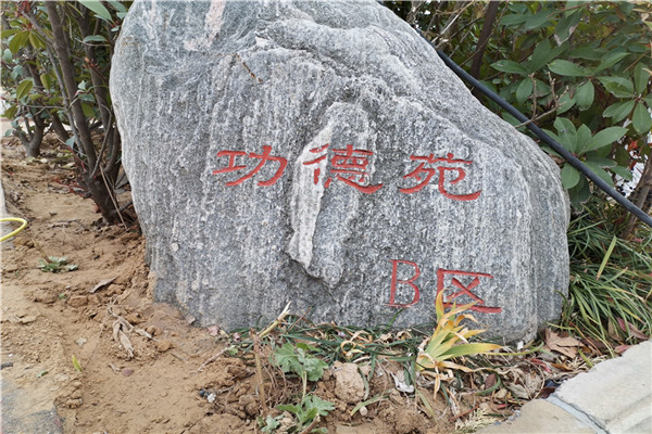 园区景观