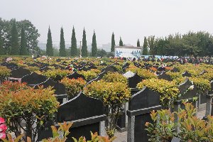 郑州青龙岗纪念园的墓地价格是多少？