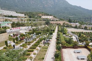 始祖山陵园怎么样？