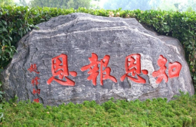 免费领取 | 教师节鲜花，致敬平凡而伟大的人生