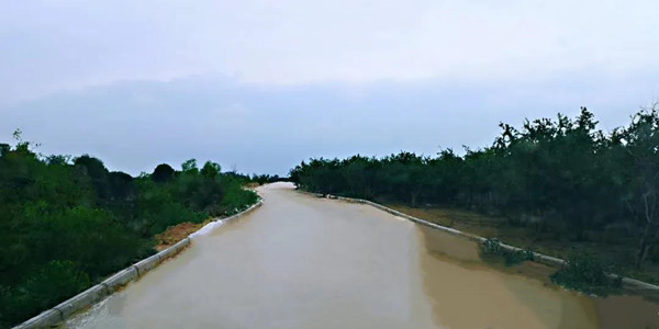 道路景观