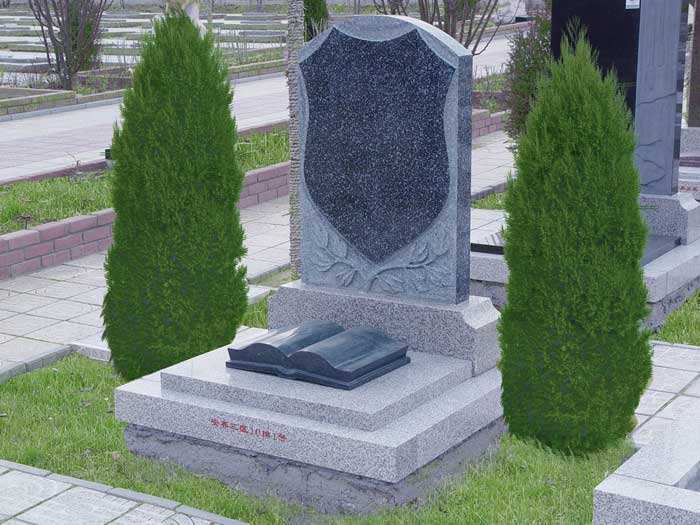 墓地种树实拍 墓地种树实拍