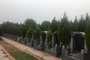 陵园墓区
