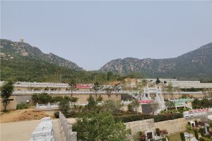 墓区侧面