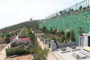 墓区侧面