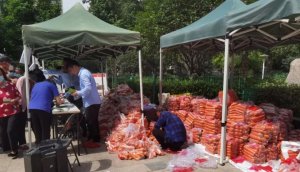 爱心蔬菜进社区 公益行动暖民心